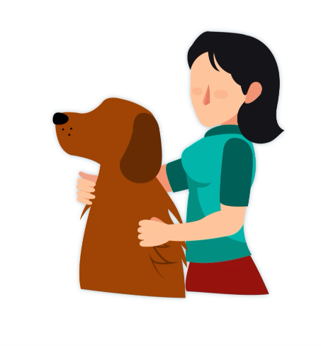 ASSURANCE ANIMAUX